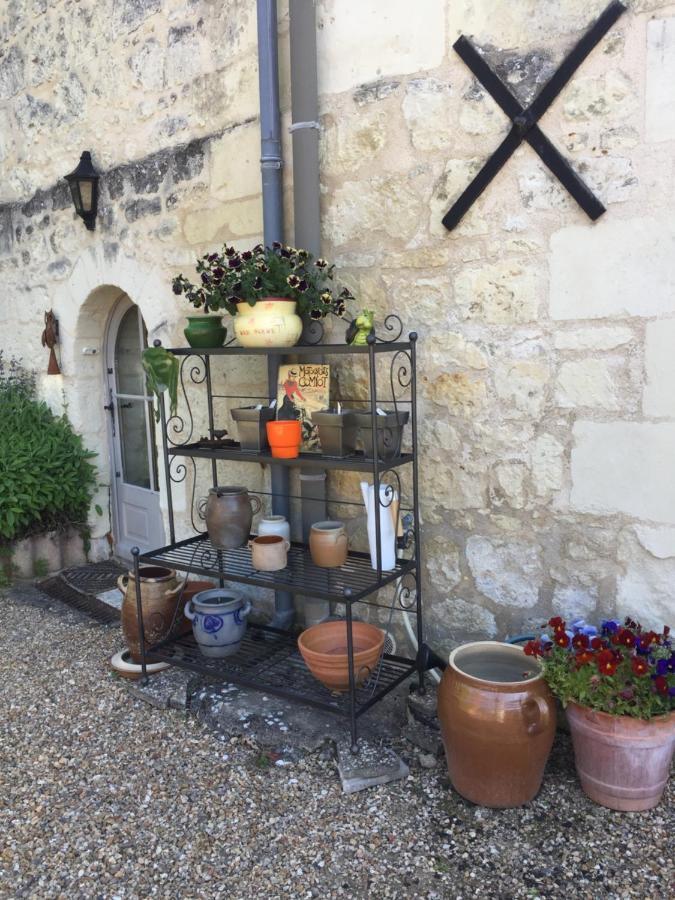 Gite de La Cale de la Clauderie Rigny-Ussé Extérieur photo